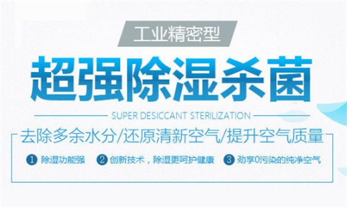 除湿器对档案馆的重要性