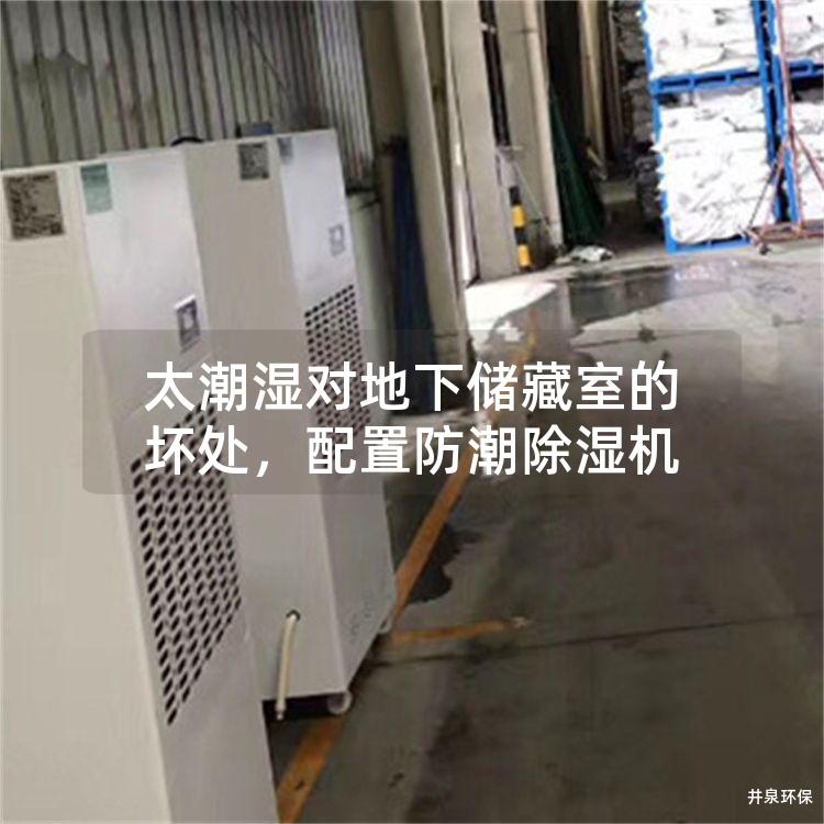 太潮濕對地下儲藏室的壞處，配置防潮除濕機(jī)