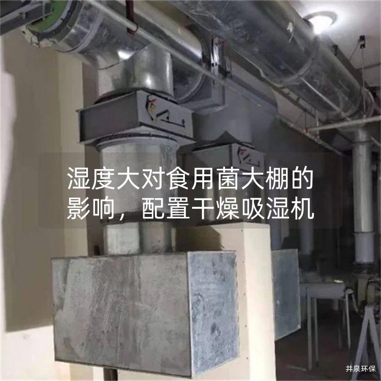 濕度大對(duì)食用菌大棚的影響，配置干燥吸濕機(jī)