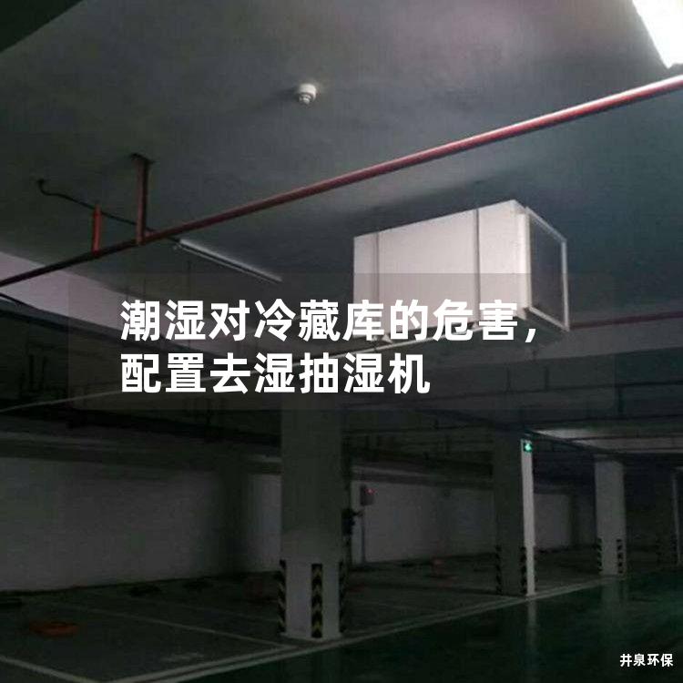 潮濕對冷藏庫的危害，配置去濕抽濕機
