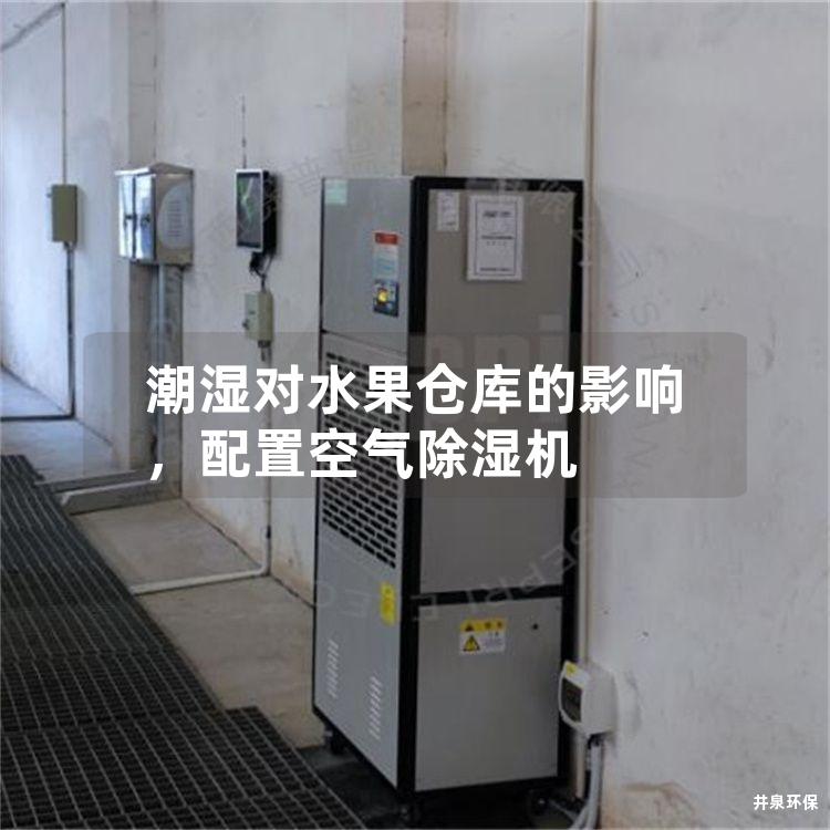 潮湿对水果仓库的影响，配置空气除湿机