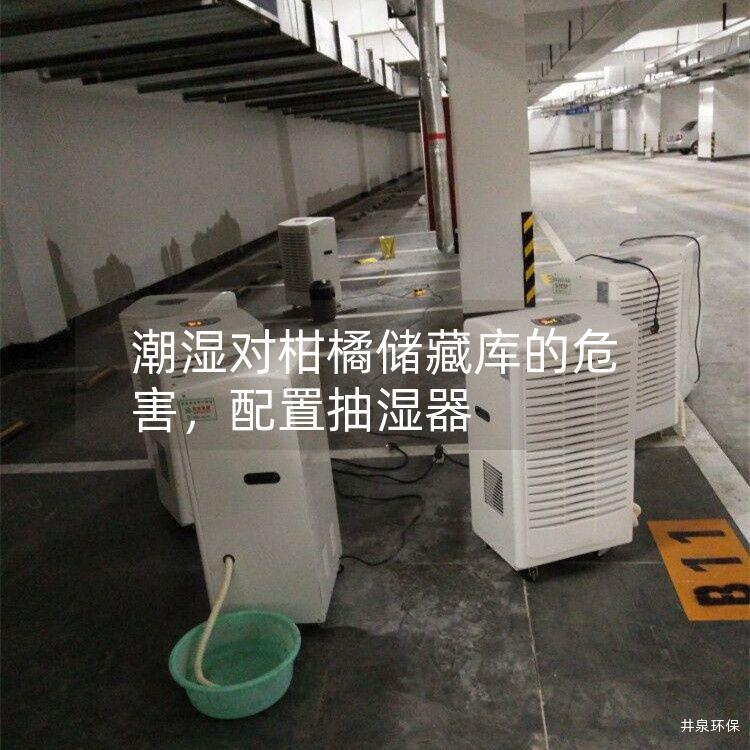 潮湿对柑橘储藏库的危害，配置抽湿器