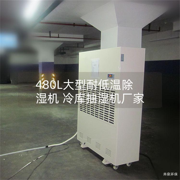 480L大型耐低温除湿机 冷库抽湿机厂家 480L大型耐低温除湿机 冷库抽湿机厂家