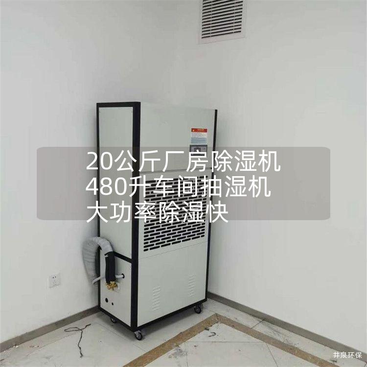20公斤厂房除湿机 480升车间抽湿机 大功率除湿快 20公斤厂房除湿机 480升车间抽湿机 大功率除湿快