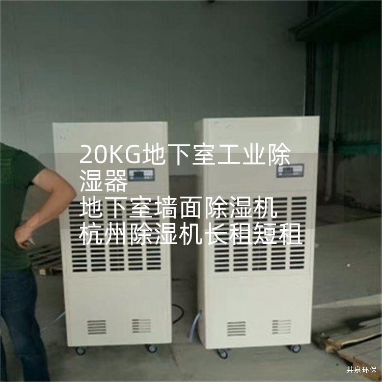 20KG地下室工业除湿器 地下室墙面除湿机 杭州除湿机长租短租