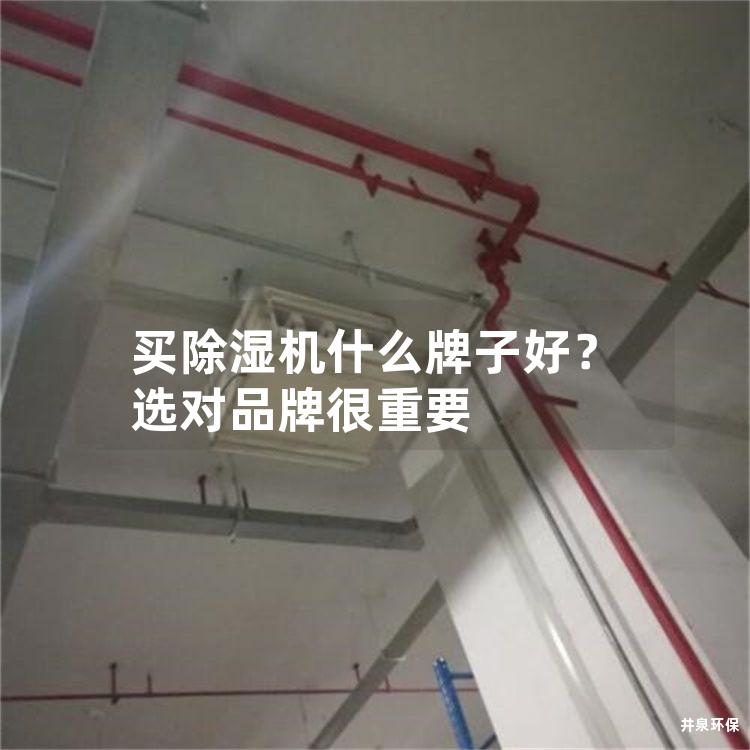 买除湿机什么牌子好？选对品牌很重要