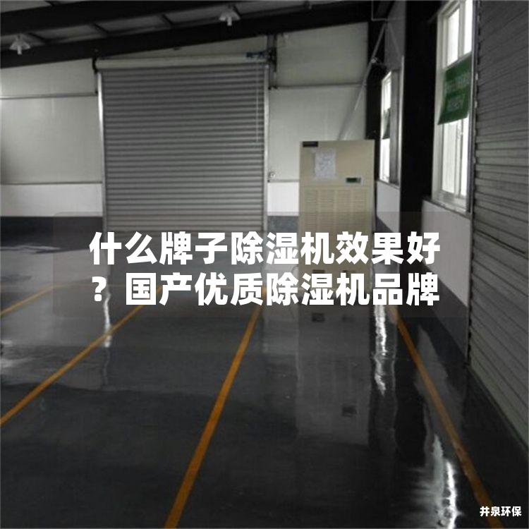 什么牌子除湿机效果好？国产优质除湿机品牌
