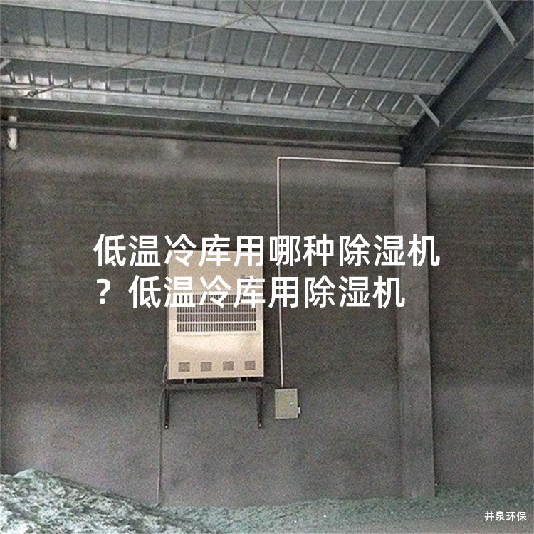 低温冷库用哪种除湿机？低温冷库用除湿机