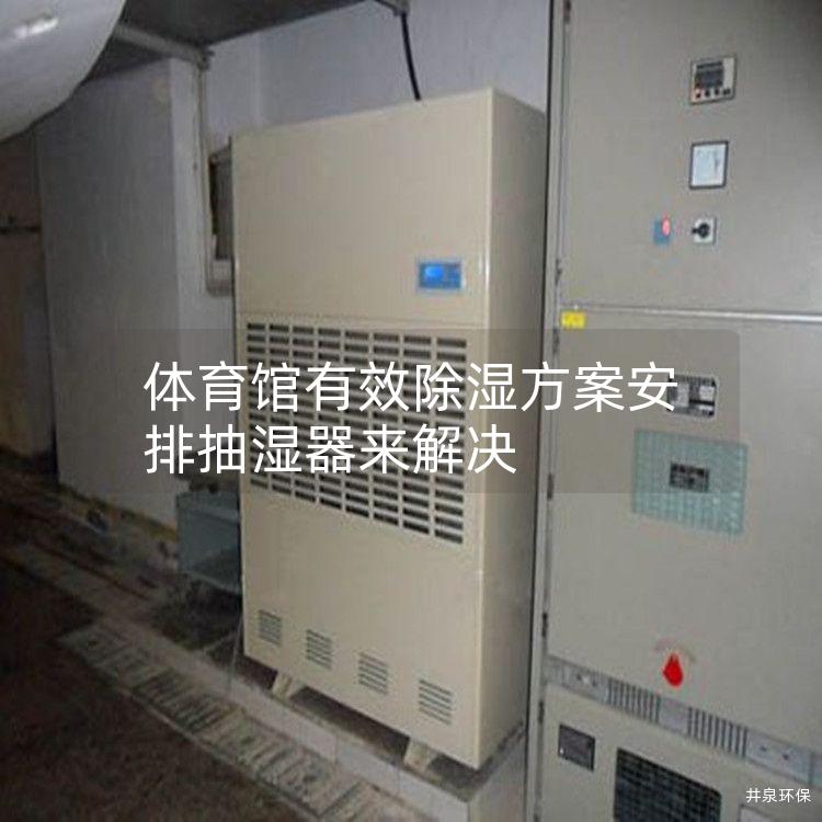 体育馆有效除湿方案安排抽湿器来解决