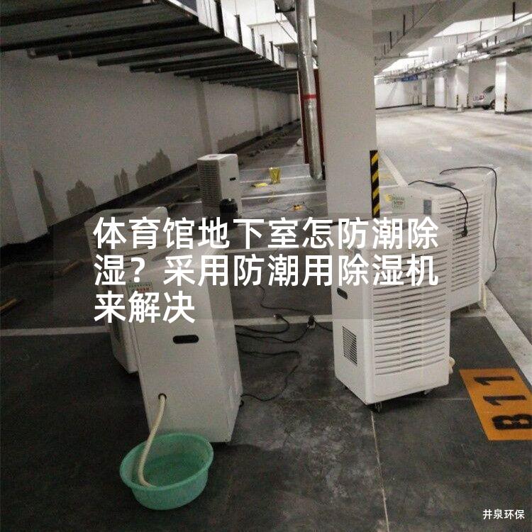 体育馆地下室怎防潮除湿？采用防潮用除湿机来解决