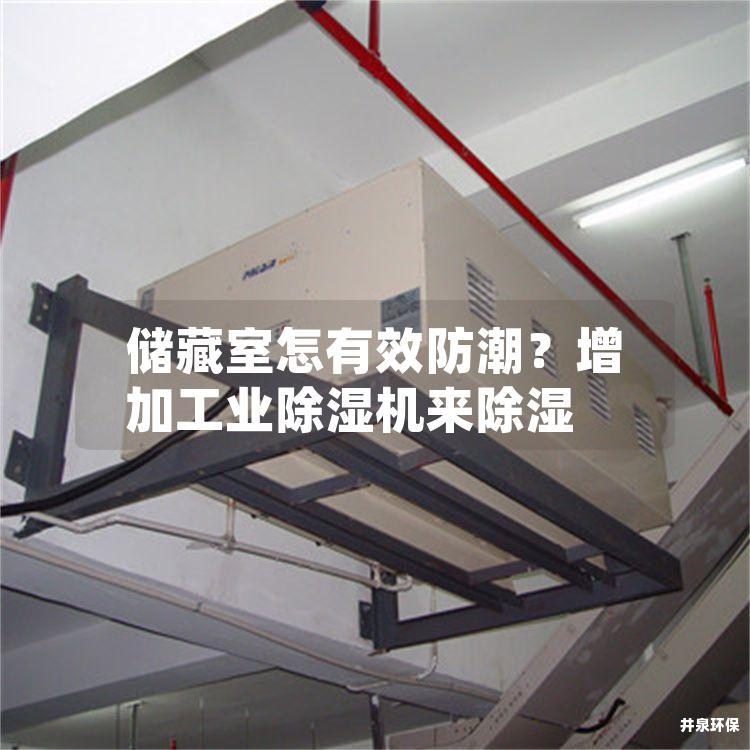 储藏室怎有效防潮？增加工业除湿机来除湿