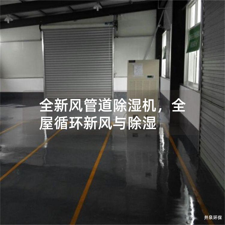 全新风管道除湿机，全屋循环新风与除湿