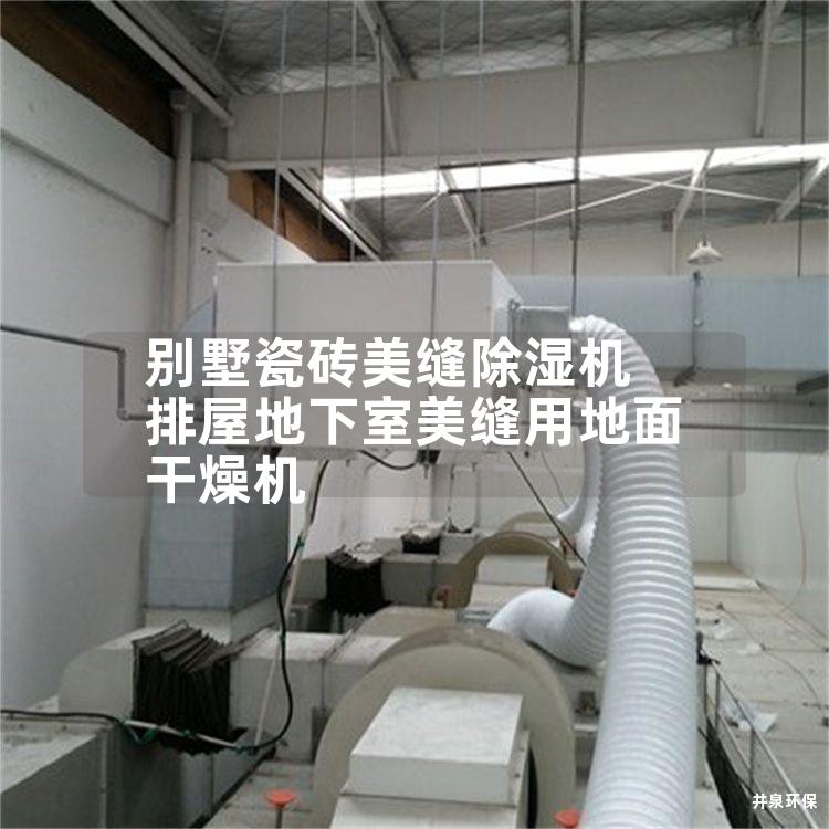 别墅瓷砖美缝除湿机 排屋地下室美缝用地面干燥机