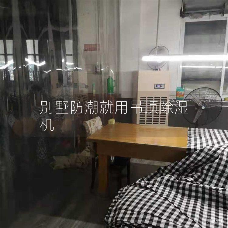 别墅防潮就用吊顶除湿机