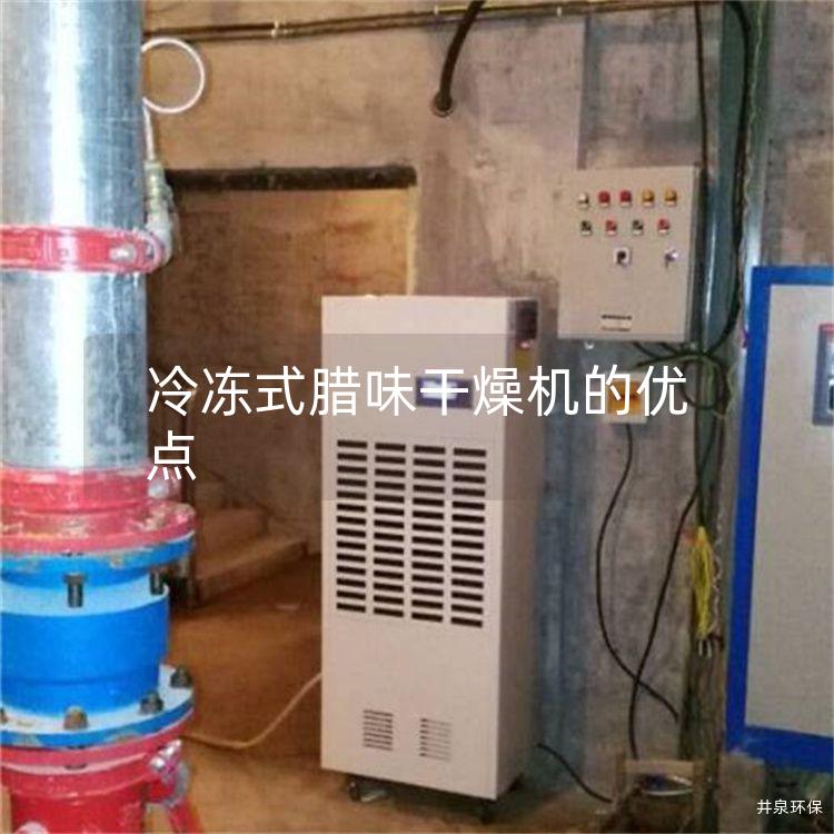 冷冻式腊味干燥机的优点