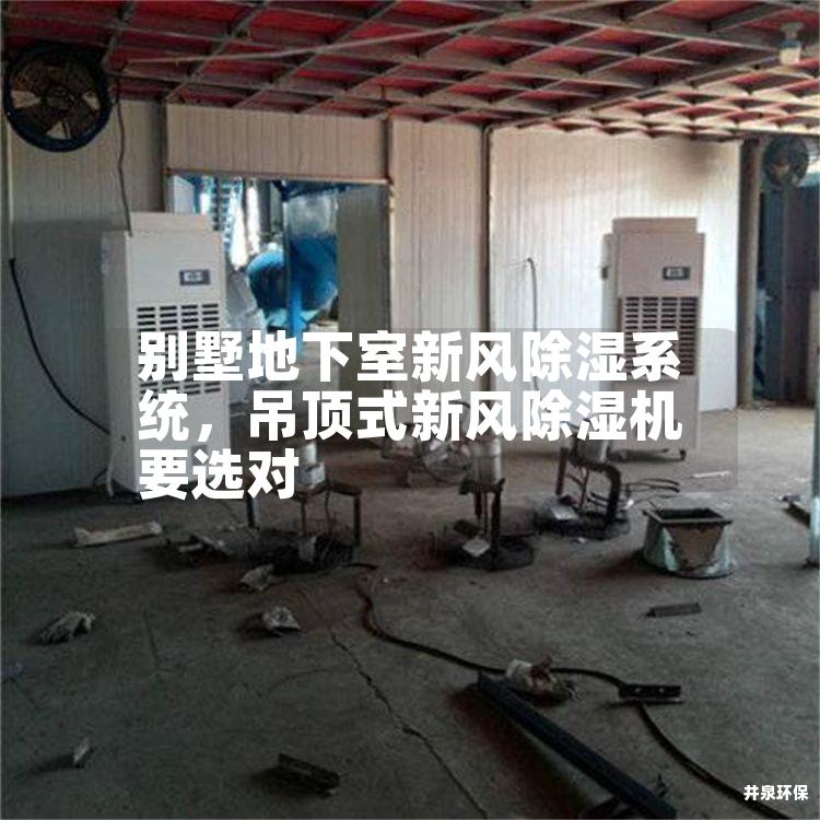 别墅地下室新风除湿系统,吊顶式新风除湿机要选对 别墅地下室新风除湿系统,吊顶式新风除湿机要选对