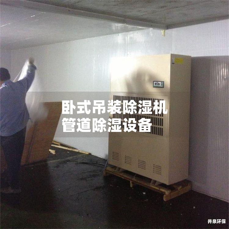 卧式吊装除湿机 管道除湿设备