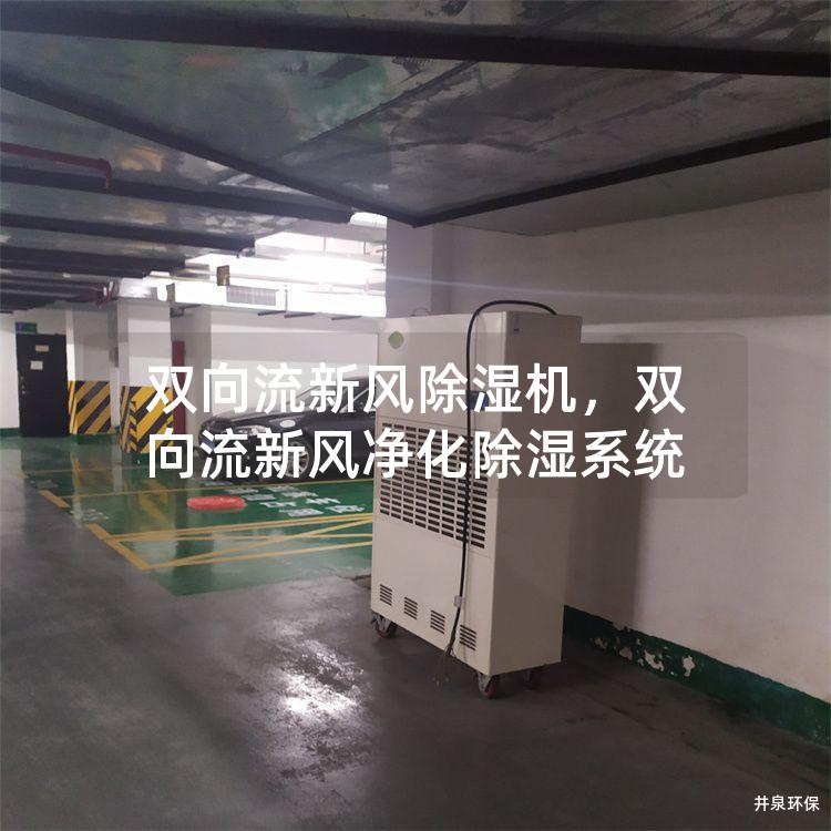 双向流新风除湿机，双向流新风净化除湿系统