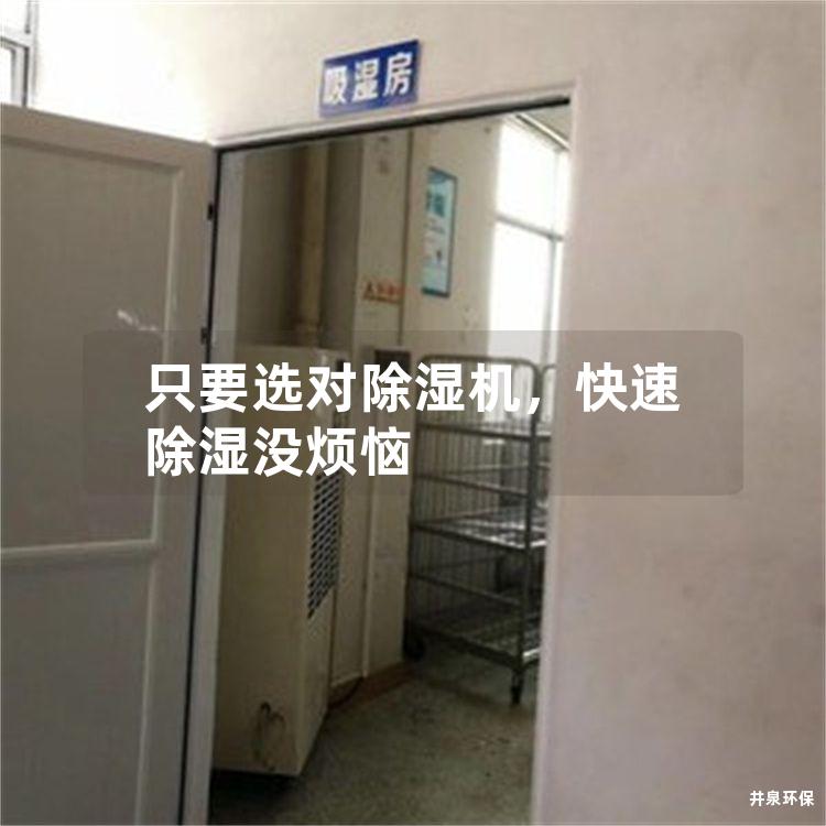 只要选对除湿机，快速除湿没烦恼
