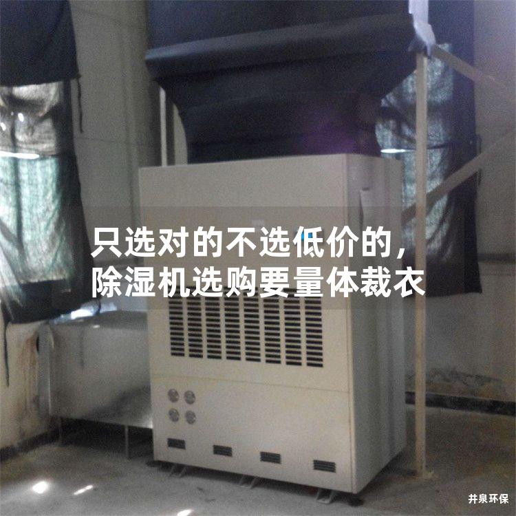 只选对的不选低价的，除湿机选购要量体裁衣