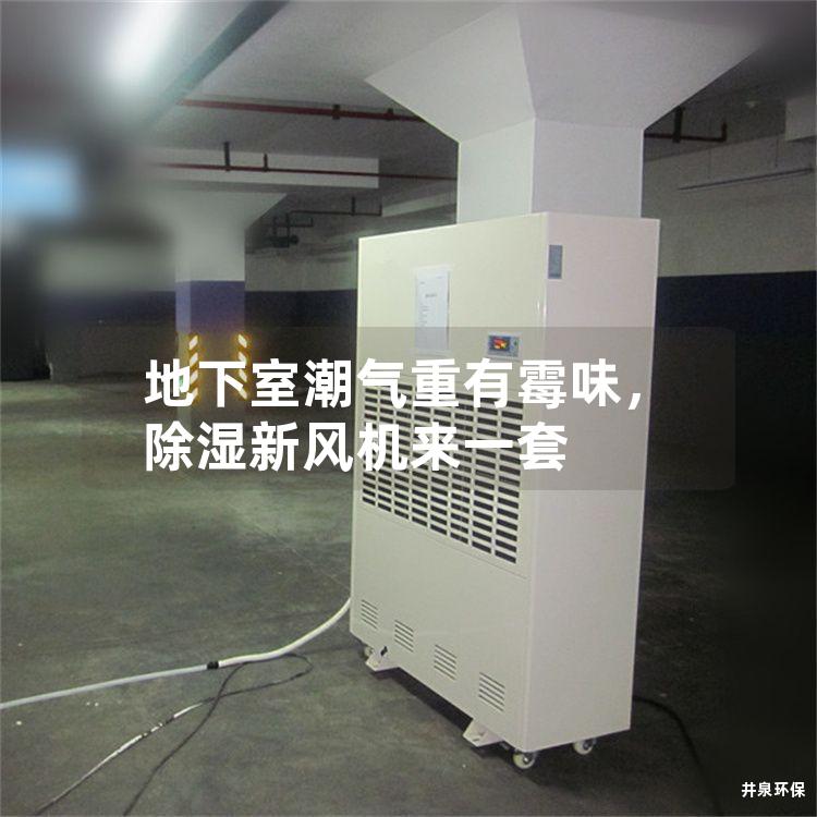 地下室潮气重有霉味，除湿新风机来一套