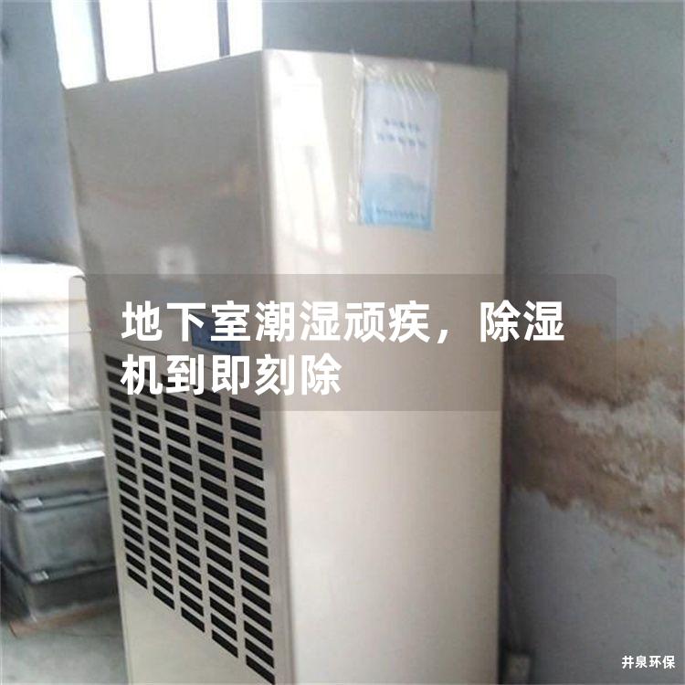 地下室潮湿顽疾,除湿机到即刻除 地下室潮湿顽疾,除湿机到即刻除