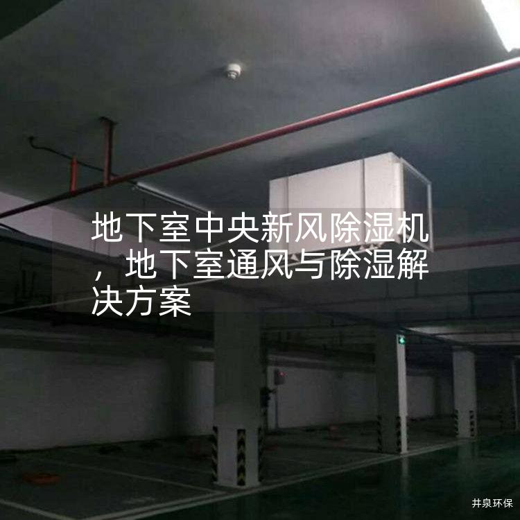 地下室中央新风除湿机，地下室通风与除湿解决方案