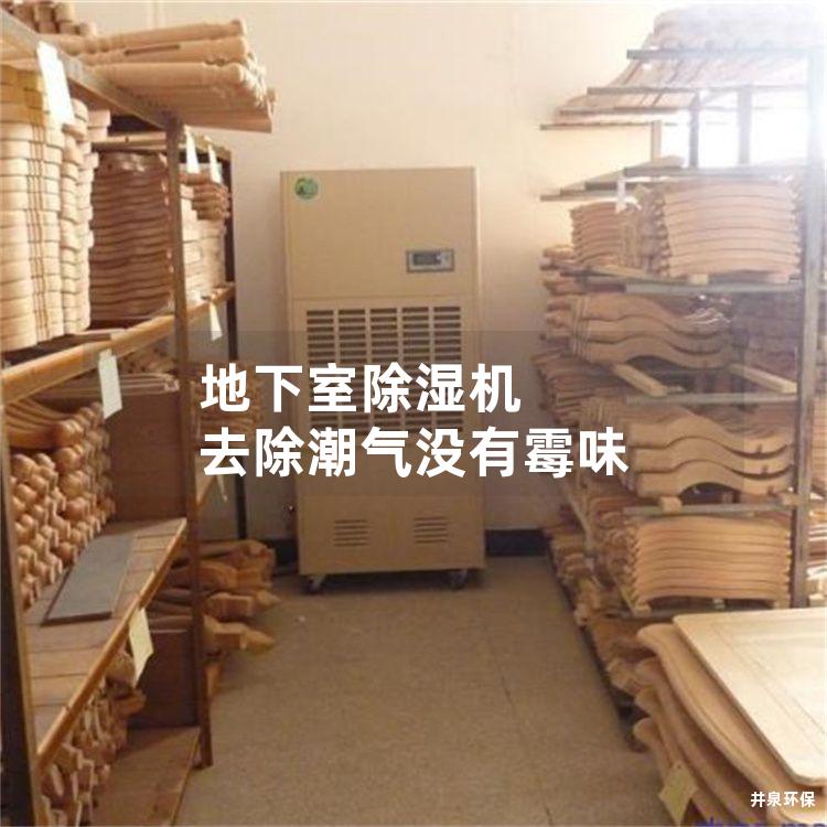 地下室除濕機 去除潮氣沒有霉味