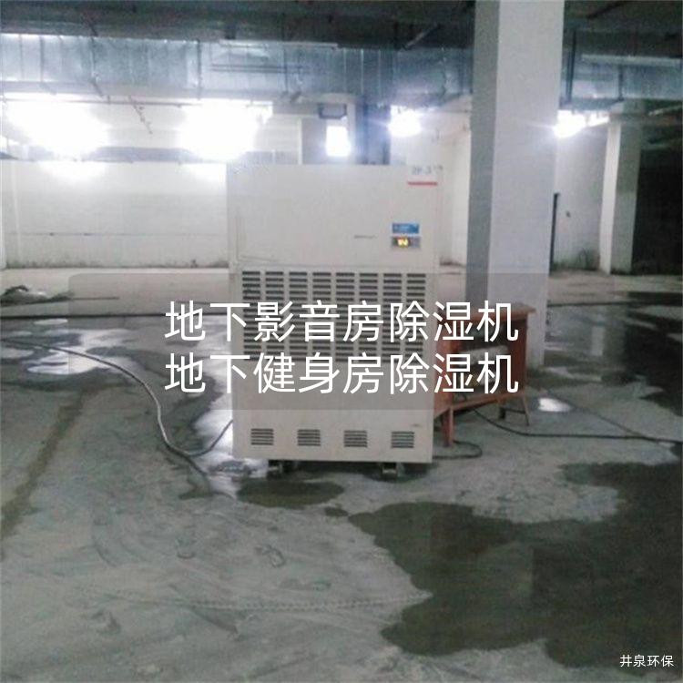 地下影音房除湿机 地下健身房除湿机
