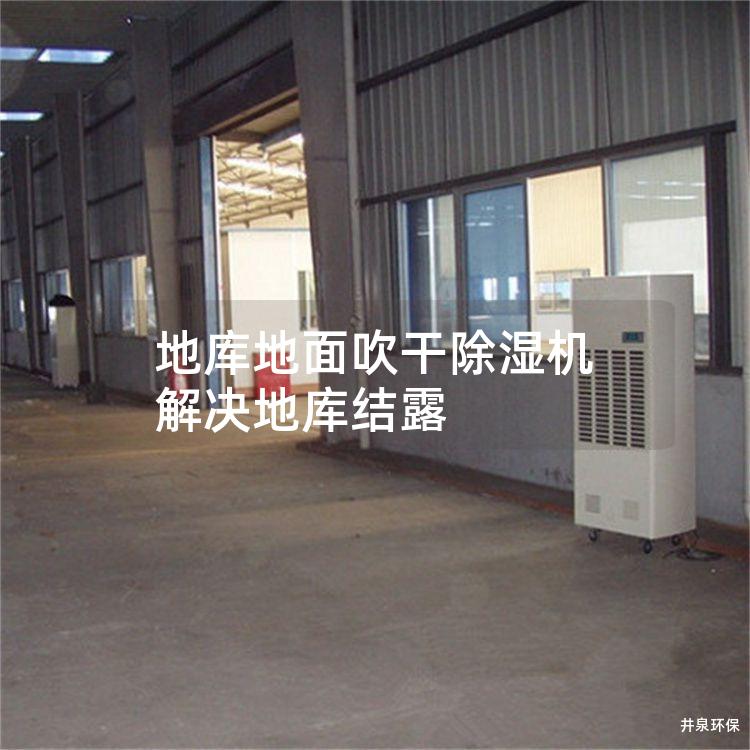 地庫地面吹干除濕機 解決地庫結露