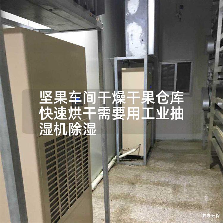 坚果车间干燥干果仓库快速烘干需要用工业抽湿机除湿