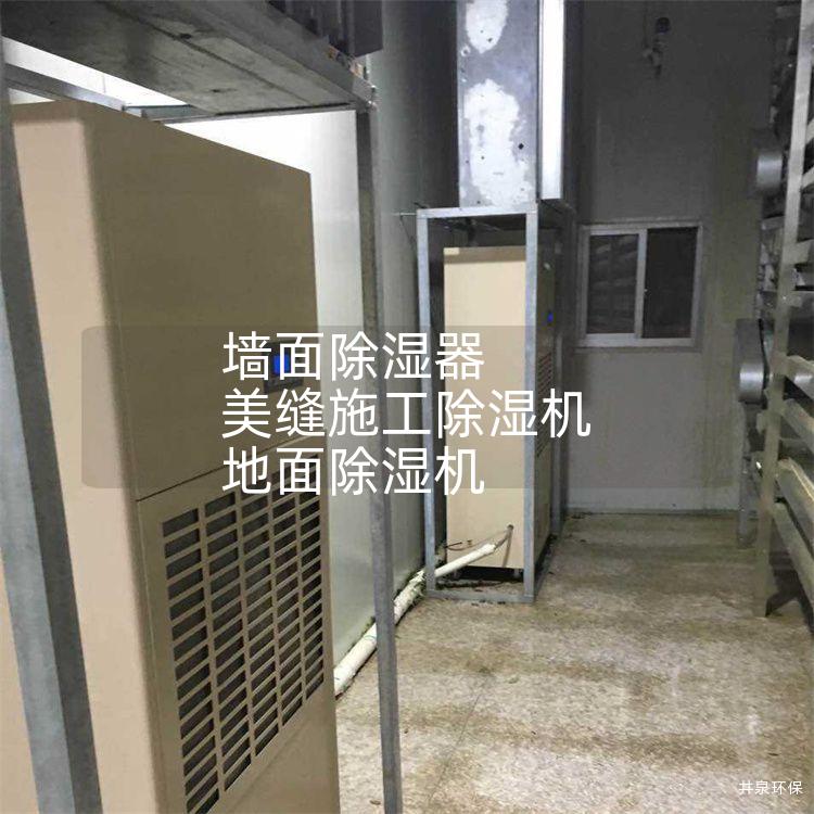 墙面除湿器 美缝施工除湿机 地面除湿机