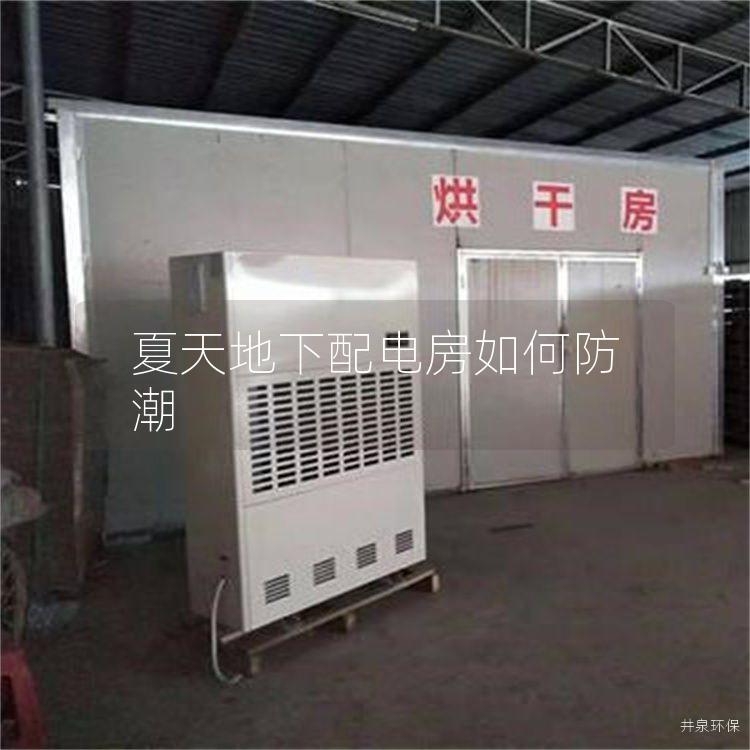 夏天地下配电房如何防潮