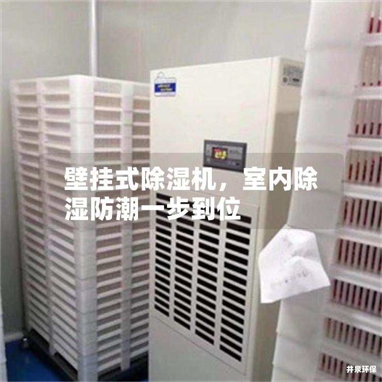 壁掛式除濕機,室內除濕防潮一步到位 壁掛式除濕機,室內除濕防潮一步到位