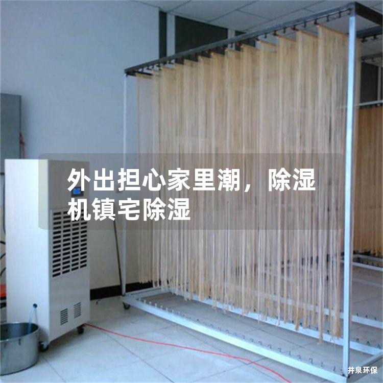 外出擔(dān)心家里潮，除濕機(jī)鎮(zhèn)宅除濕
