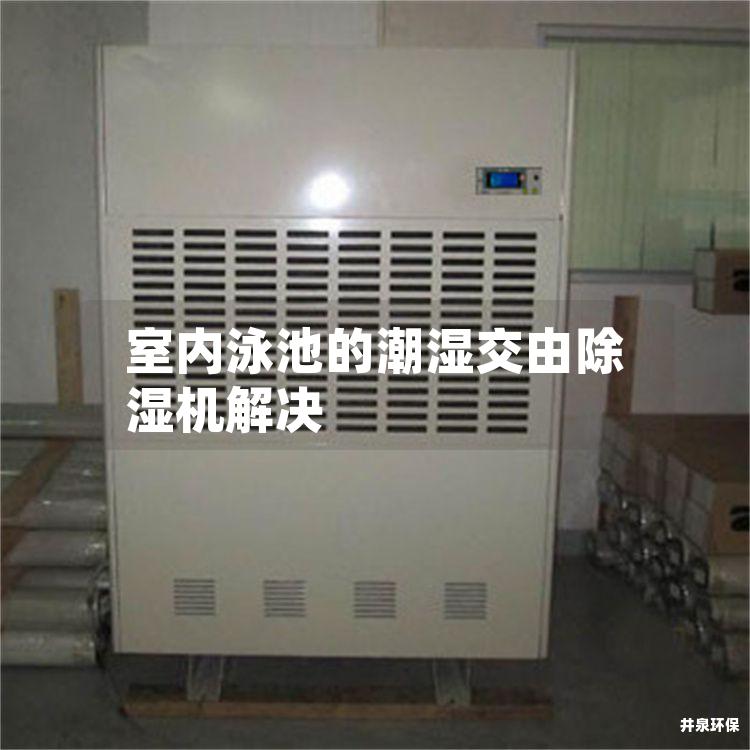 室内泳池的潮湿交由除湿机解决