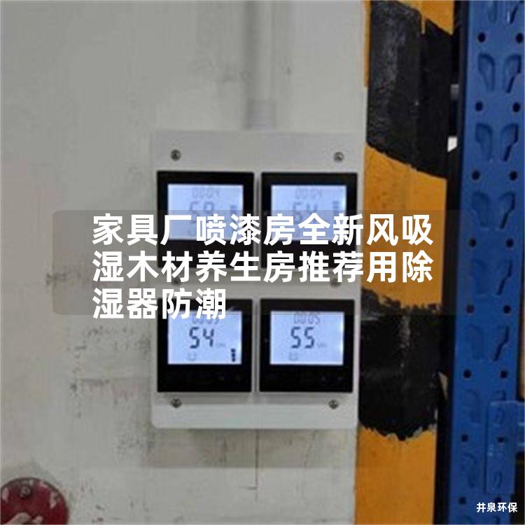 家具厂喷漆房全新风吸湿木材养生房推荐用除湿器防潮