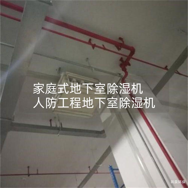 家庭式地下室除湿机 人防工程地下室除湿机