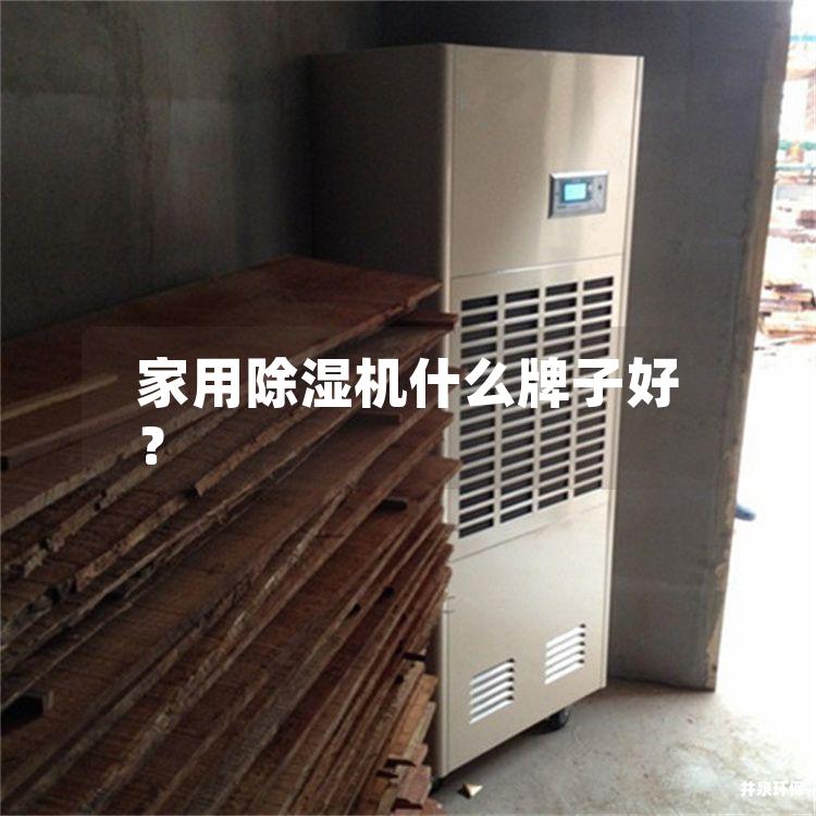 家用除湿机什么牌子好？