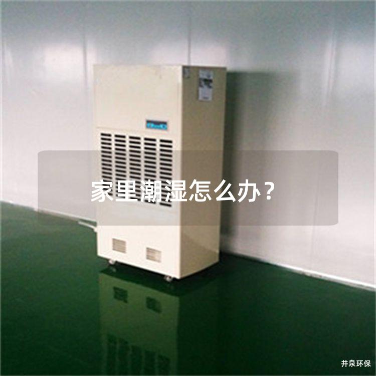 家里潮湿怎么办？