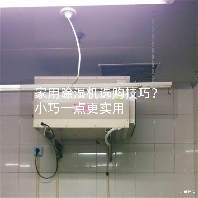 家用除湿机选购技巧？小巧一点更实用