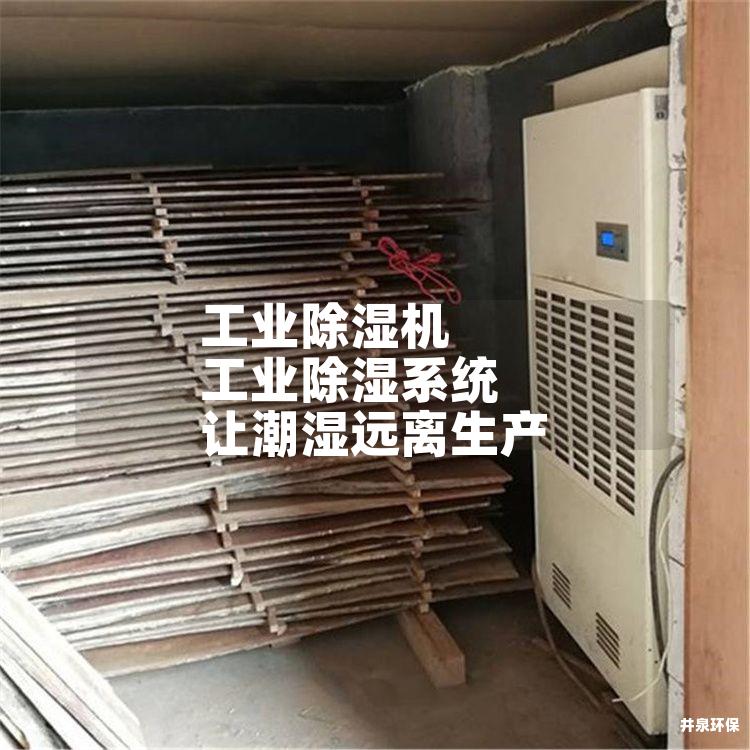 工业除湿机 工业除湿系统 让潮湿远离生产