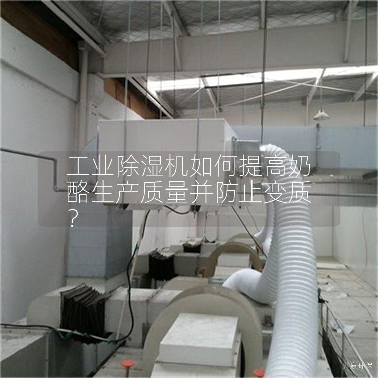 工业除湿机如何提高奶酪生产质量并防止变质? 工业除湿机如何提高奶酪生产质量并防止变质?