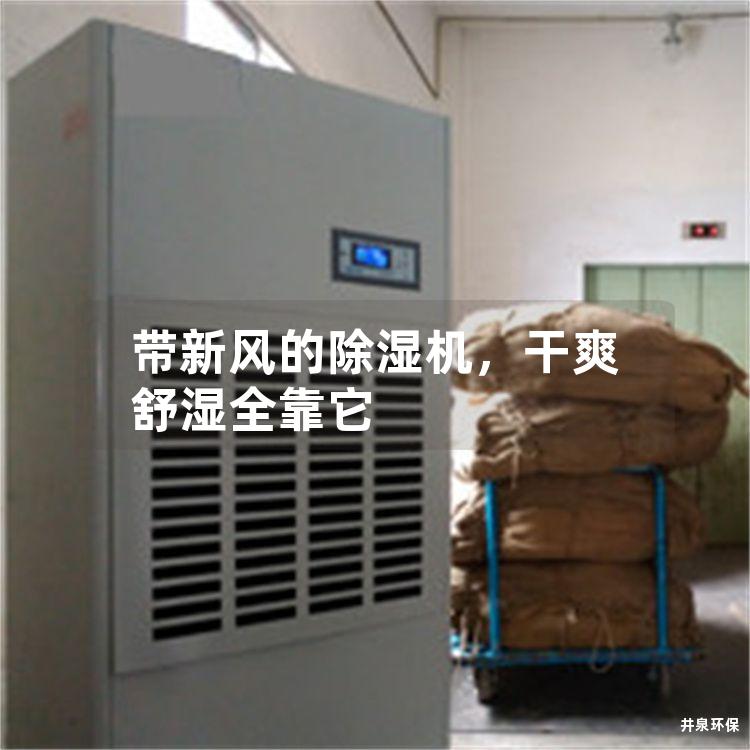 带新风的除湿机,干爽舒湿全靠它 带新风的除湿机,干爽舒湿全靠它