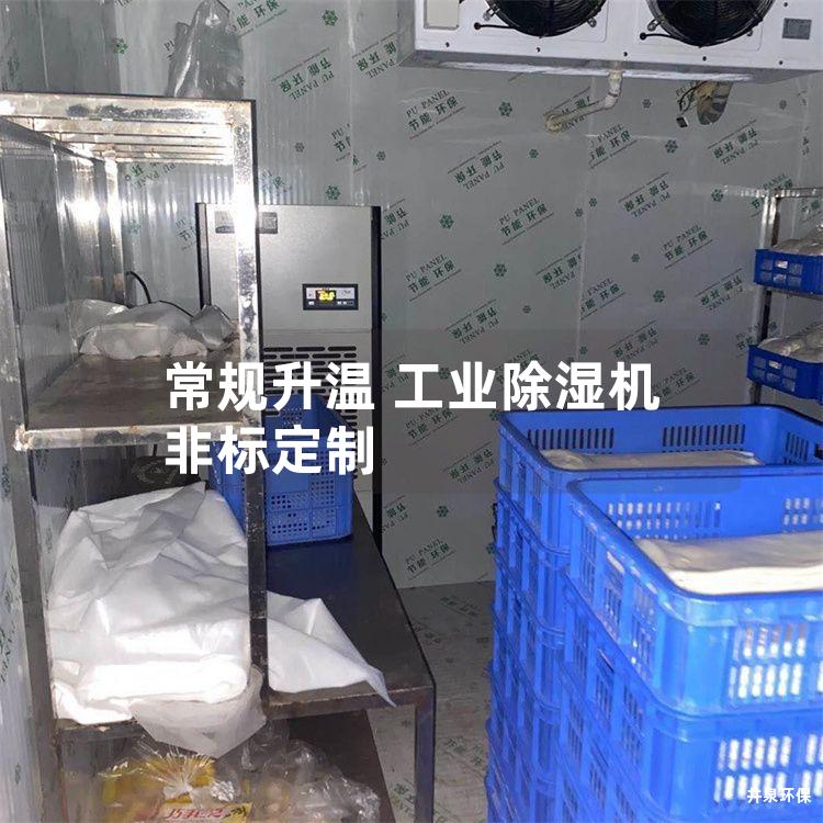 常规升温 工业除湿机 非标定制