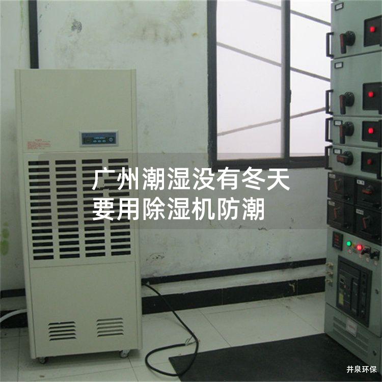 广州潮湿没有冬天 要用除湿机防潮