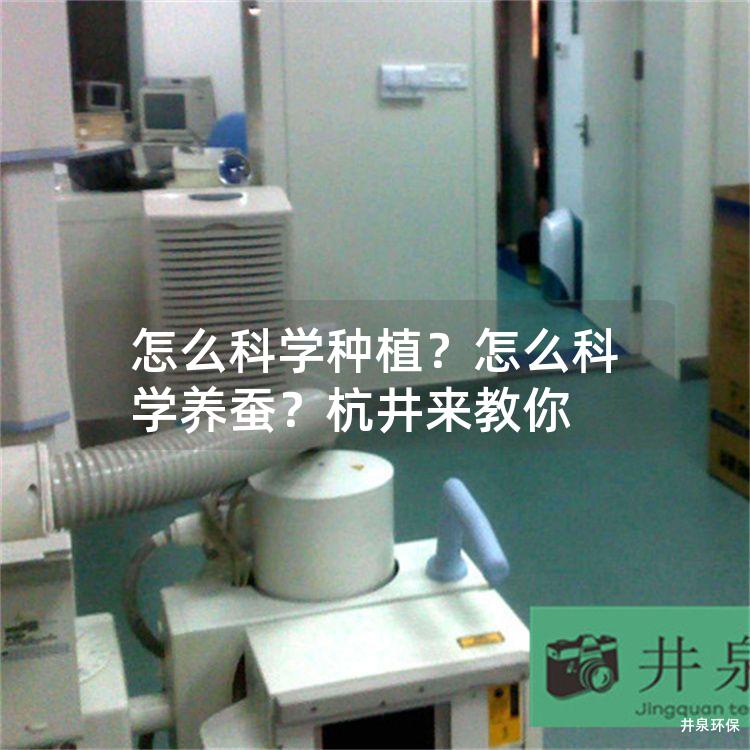 怎么科学种植？怎么科学养蚕？杭井来教你