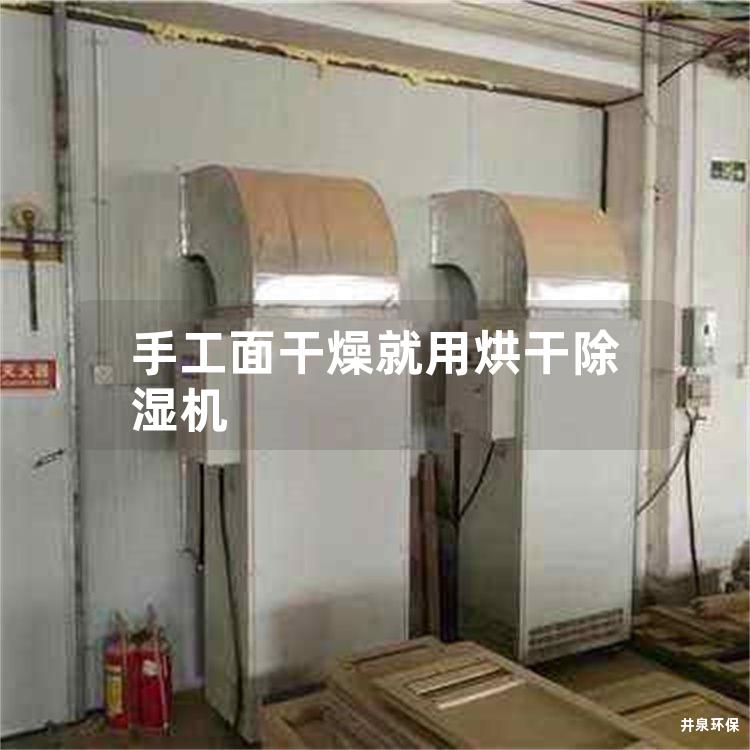 手工面干燥就用烘干除湿机 手工面干燥就用烘干除湿机