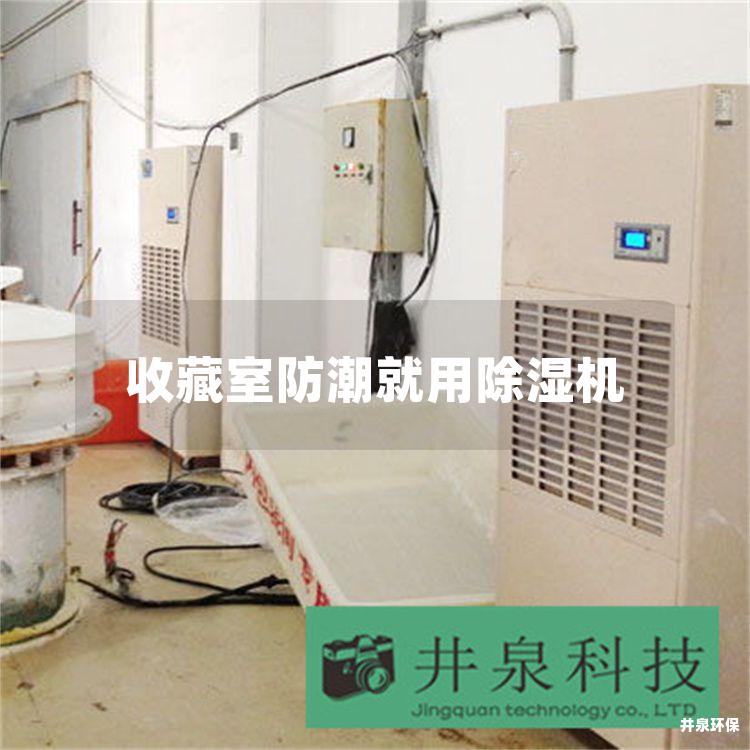 收藏室防潮就用除湿机