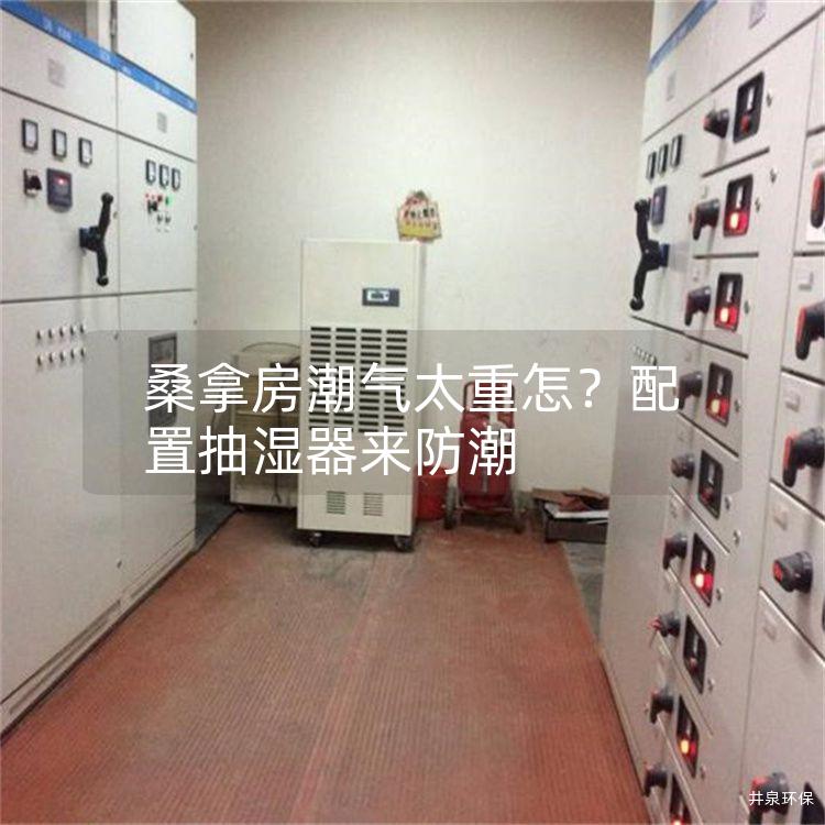 桑拿房潮气太重怎？配置抽湿器来防潮